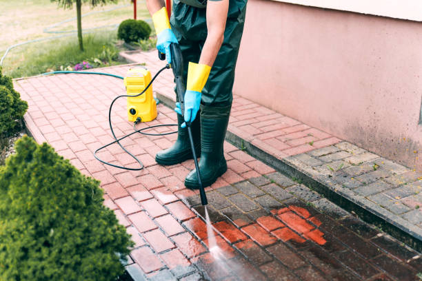 Best Roof Washing  in Akron, NY